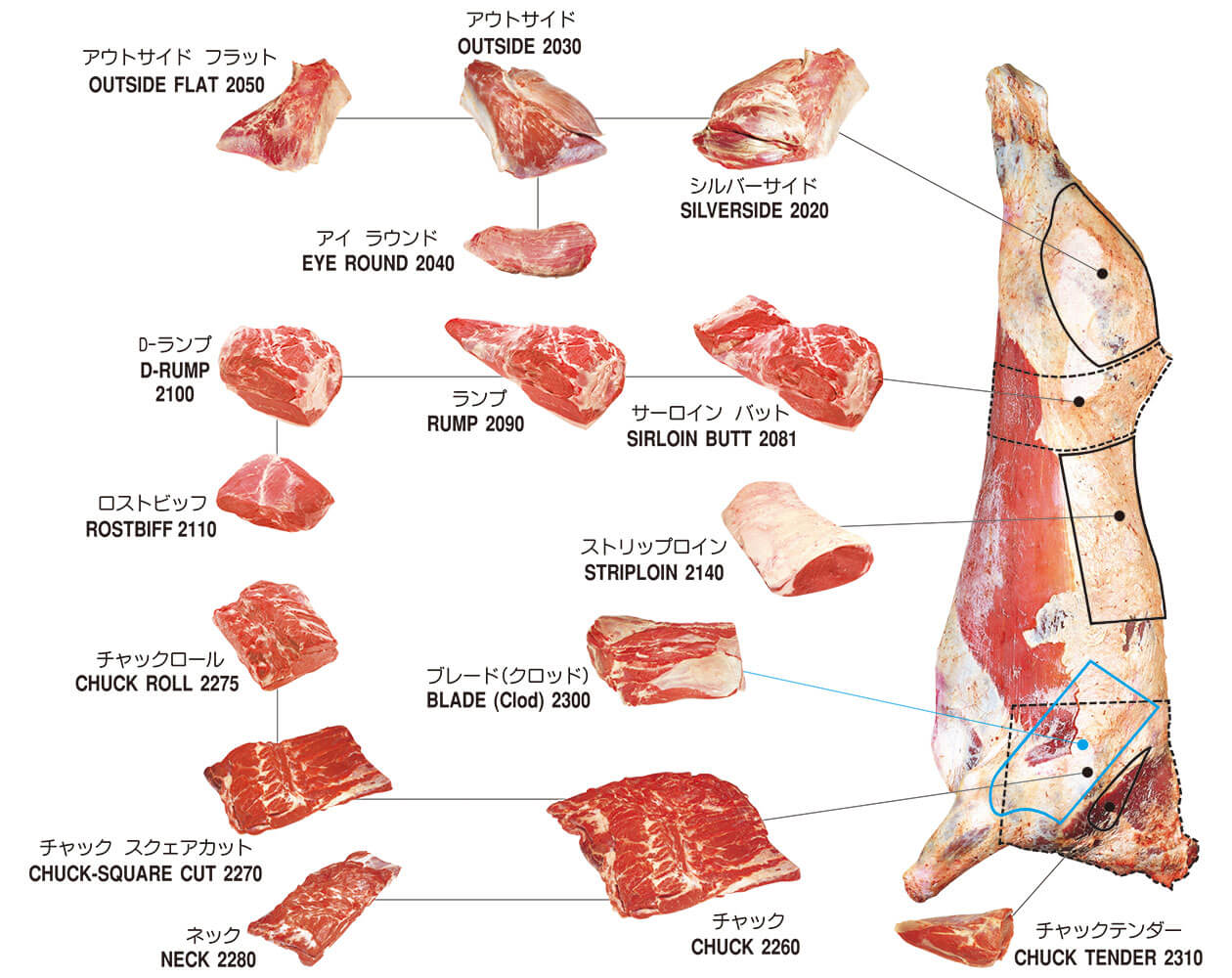牛肉のカットチャート