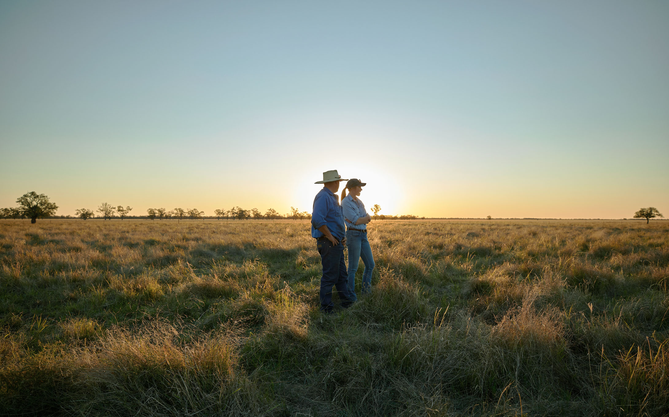 MEAT & LIVESTOCK AUSTRALIA