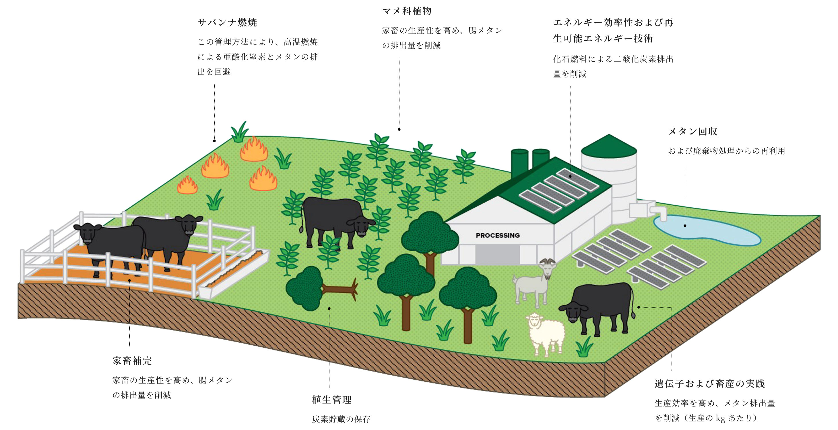 排出量削減の取り組み