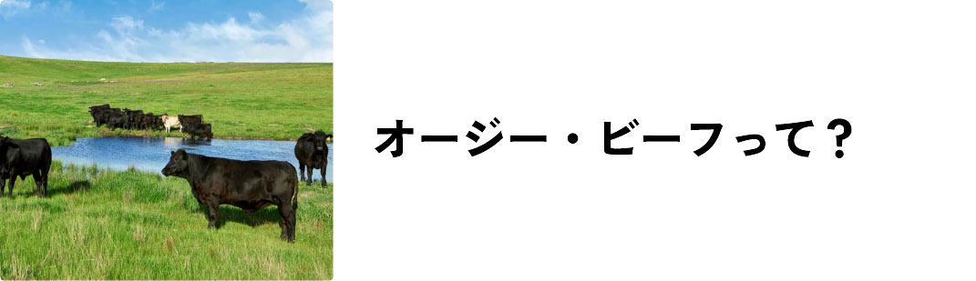 オージー・ビーフって?